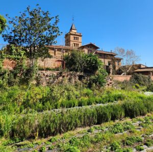 Can Monmany, last day.