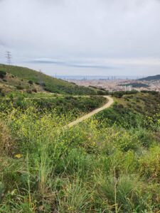 Coll de la Ventosa, un diumenge en silenci