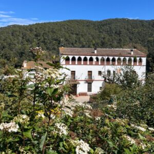 Un parell d’enciams
